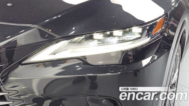Lexus RX350h 2025 — Photo 19/35
