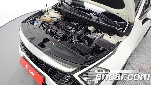 Kia Sportage 2021 — ფოტო 6/20