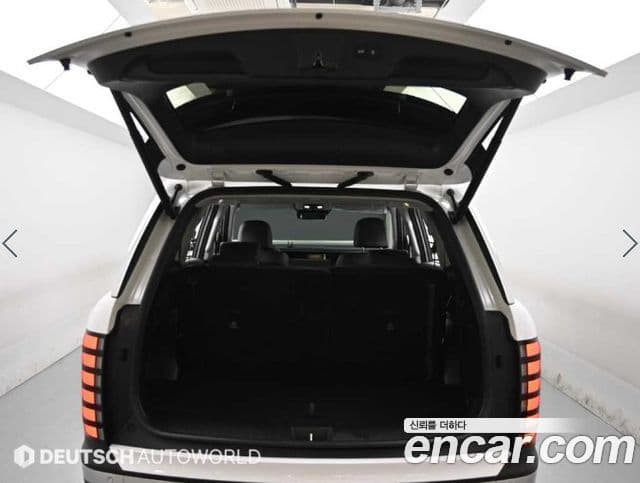 Hyundai Palisade 2025 — ფოტო 19/20