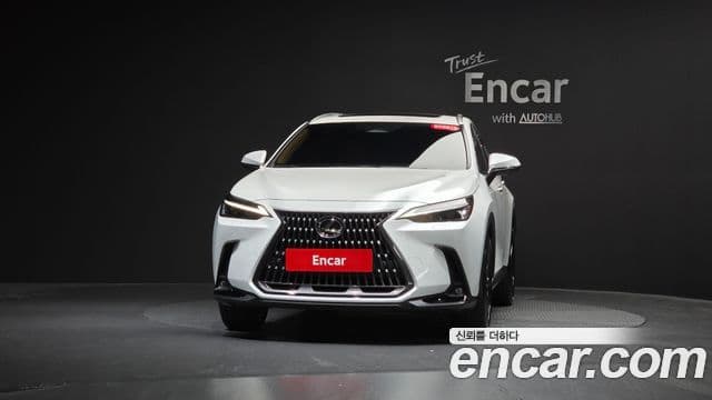 Lexus NX350h 2024 — Фото 3/20
