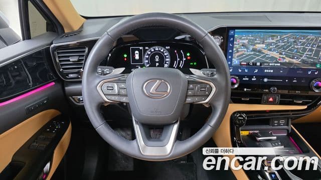 Lexus NX350h 2024 — Фото 14/20