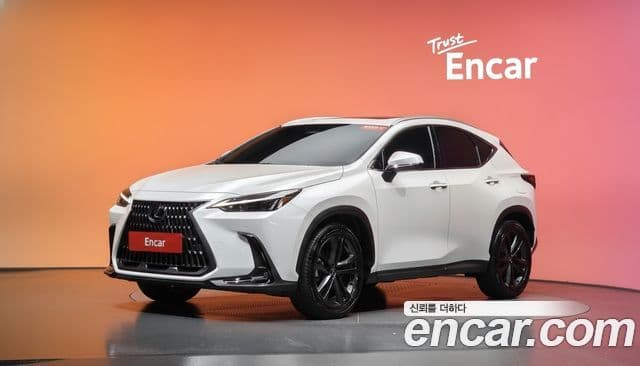 Lexus NX350h 2024 — Фото 1/20