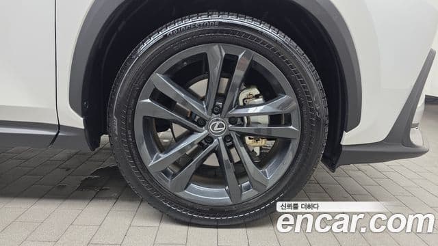 Lexus NX350h 2024 — Photo 21/31