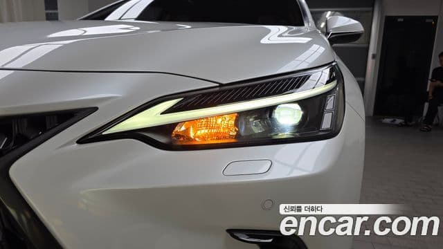 Lexus NX350h 2024 — Photo 5/31