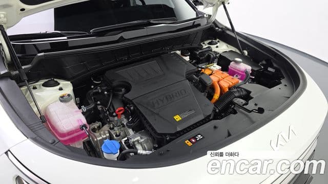 Kia Niro 2024 — ფოტო 6/20