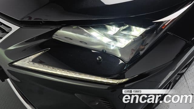 Lexus NX300h 2019 — Şəkil 16/35