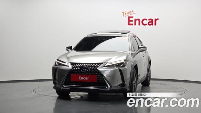 Lexus UX250h 2020 — Şəkil 4/20