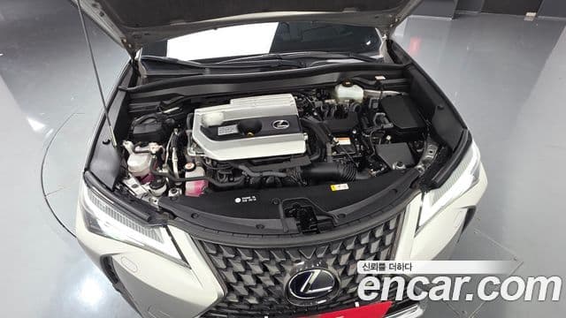 Lexus UX250h 2020 — Şəkil 7/20