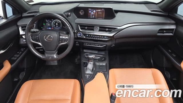 Lexus UX250h 2020 — Şəkil 2/20