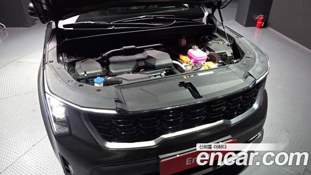 Kia Sorento 2024 — ფოტო 6/20