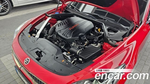 Kia Stinger Meister 2021 — ფოტო 10/20