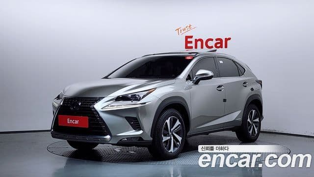 Lexus NX300h 2019 — Фото 1/20