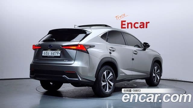 Lexus NX300h 2019 — Фото 2/20