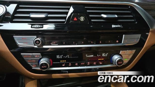 BMW 5 Series 2020 — Photo 8/33