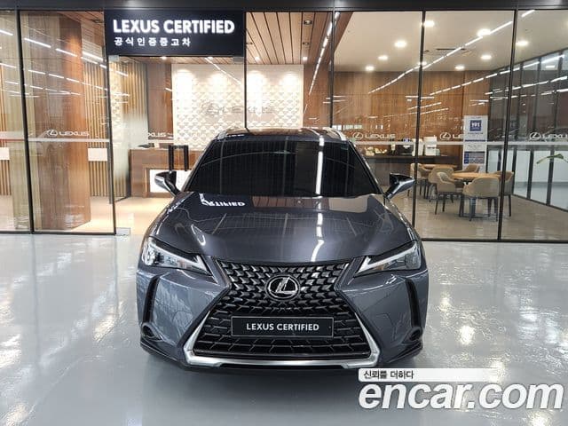 Lexus UX300h 2025 — Photo 18/19