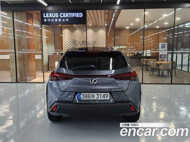 Lexus UX300h 2025 — Photo 12/19