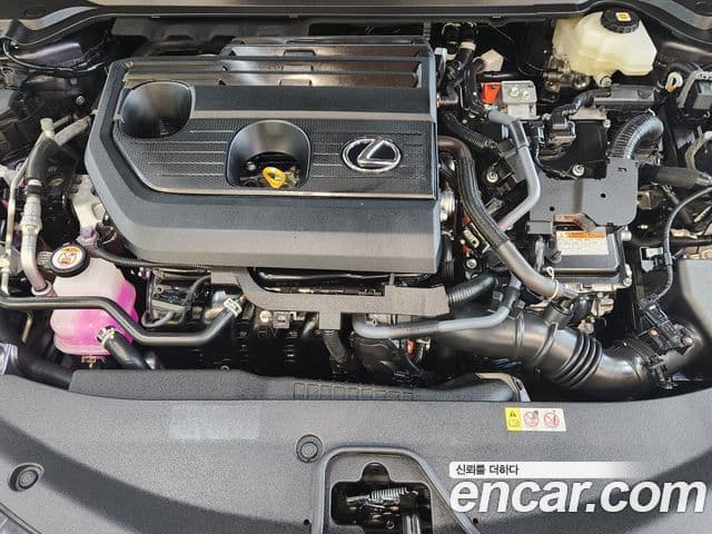 Lexus UX300h 2025 — Photo 13/19