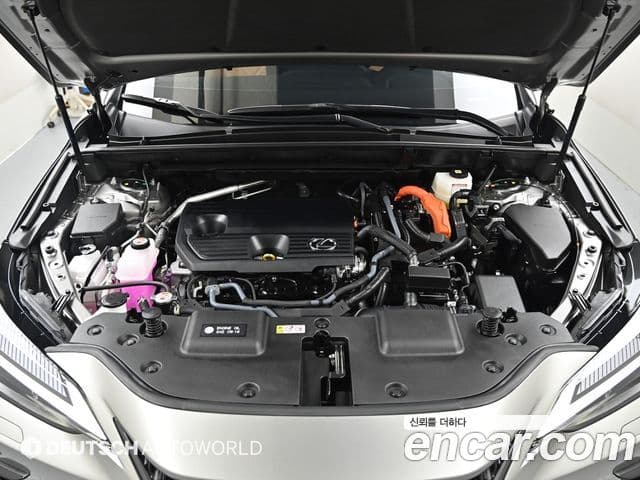 Lexus NX350h 2025 — ფოტო 5/8