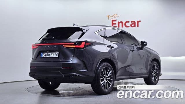 Lexus NX350h 2025 — ფოტო 2/20