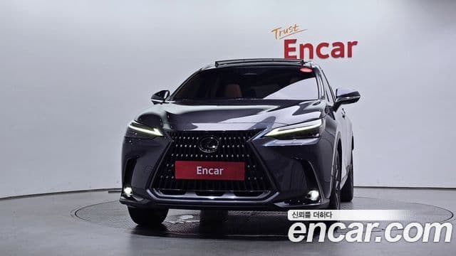 Lexus NX350h 2025 — ფოტო 3/20