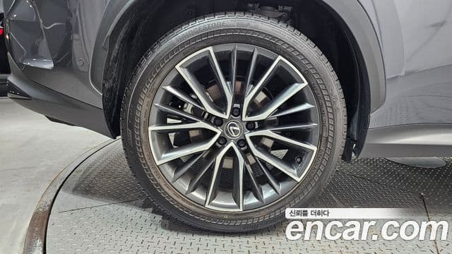 Lexus NX350h 2025 — ფოტო 5/20