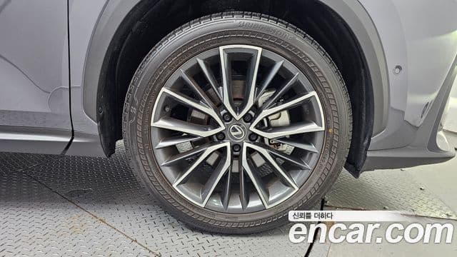 Lexus NX350h 2025 — Photo 32/33