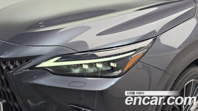 Lexus NX350h 2025 — Photo 7/33