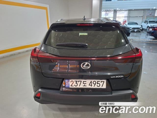 Lexus UX300h 2024 — Фото 3/20
