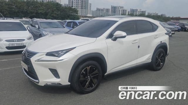 Lexus NX300h 2021 — Şəkil 11/20
