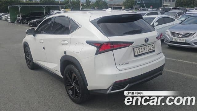 Lexus NX300h 2021 — Şəkil 8/20