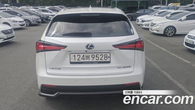 Lexus NX300h 2021 — Şəkil 3/20