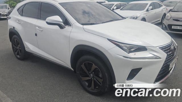 Lexus NX300h 2021 — Şəkil 4/20