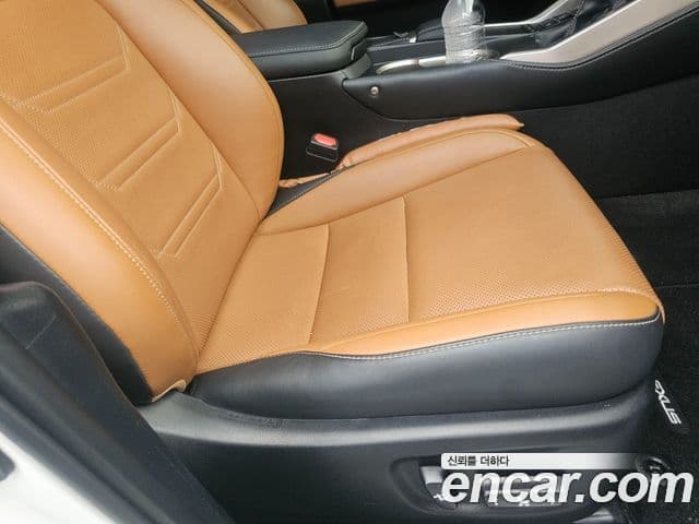 Lexus NX300h 2021 — Şəkil 5/20