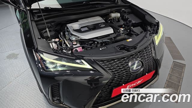 Lexus UX250h 2020 — Фото 6/20