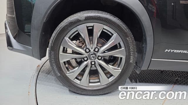 Lexus UX250h 2020 — ფოტო 9/30