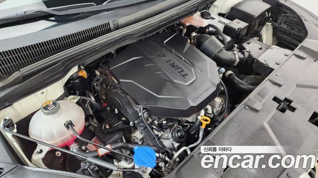 Kia Carnival 2021 — Фото 6/20