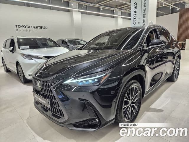 Lexus NX350h 2025 — Şəkil 2/20