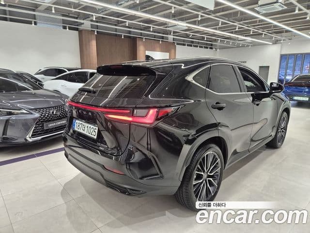 Lexus NX350h 2025 — ფოტო 16/20