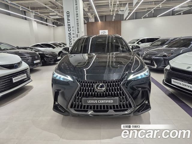 Lexus NX350h 2025 — Şəkil 8/20