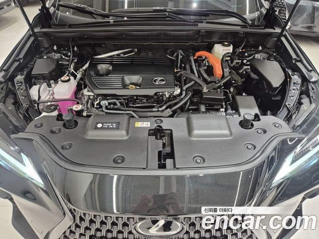 Lexus NX350h 2025 — Şəkil 10/20