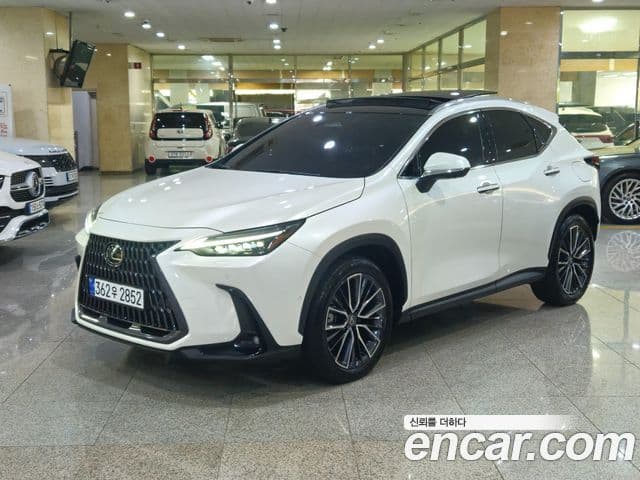 Lexus NX350h 2024 — Photo 4/20
