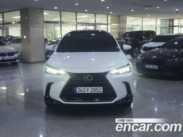 Lexus NX350h 2024 — Photo 6/20