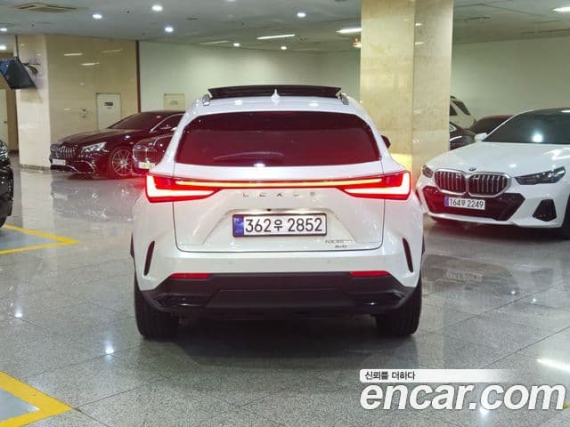 Lexus NX350h 2024 — Photo 7/20
