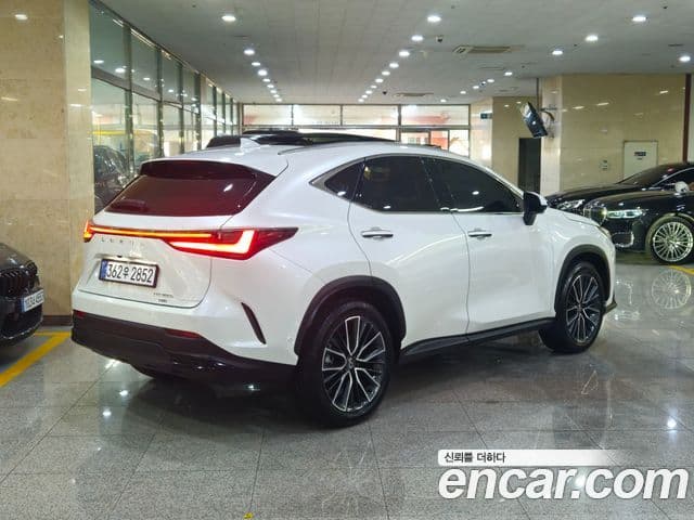 Lexus NX350h 2024 — Photo 17/20