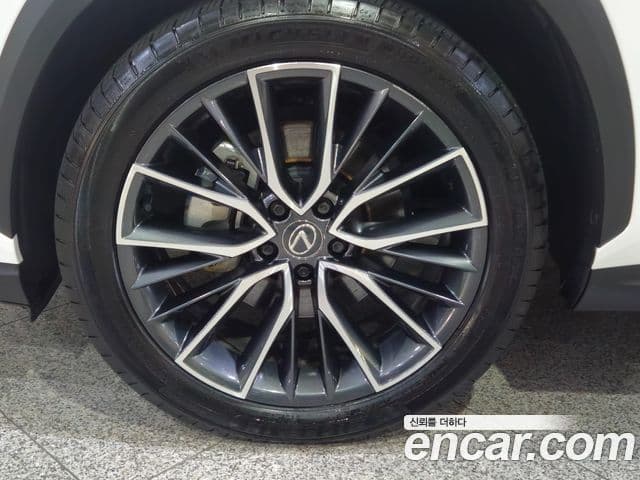 Lexus NX350h 2024 — Photo 15/20