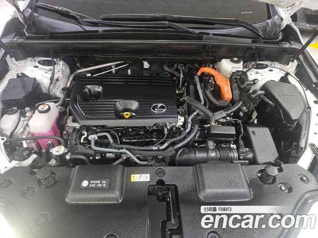 Lexus NX350h 2024 — Photo 3/20