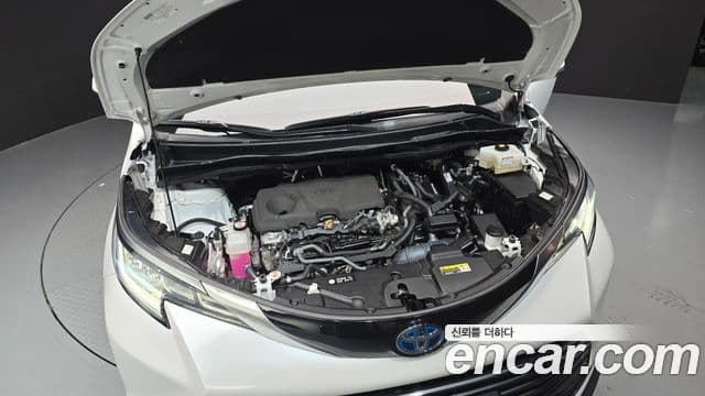 Toyota Sienna 2023 — ფოტო 1/20