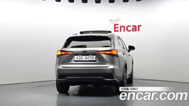 Lexus NX300h 2018 — Фото 4/20