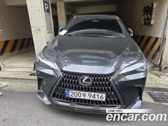 Lexus NX350h 2024 — Şəkil 1/20