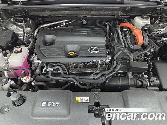 Lexus NX350h 2022 — ფოტო 19/20
